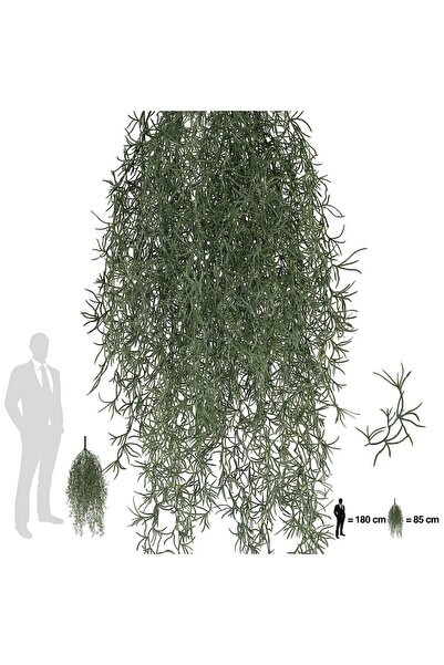 Roberto Rossi Planta curgatoare Long hair (tillandsia) 85 cm verde inchis