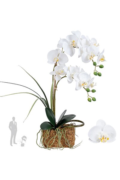 Roberto Rossi Orhidee artificiala alba cu aspect H58 cm cu 2 tulpini