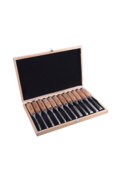 Extol Premium Set de dălți pentru sculptură, 200mm, 8812405, Cutie din lemn, ...