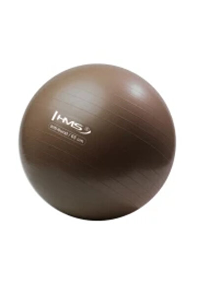 HMS YB02 NOUĂ MINGE DE GIMNASIU ANTIEXPLOZIUNE DE 65 CM