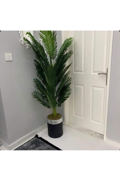 İremÇiçekçilik Siyah Gümüş silindir Yeni Areka - 160 cm