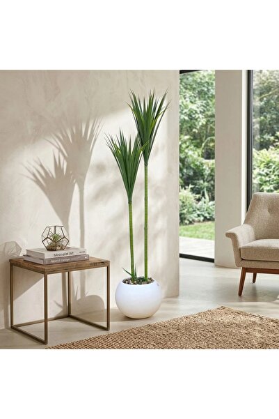 Al Hadaya Mall Artificial Cactus Tree in Plastic with an Elegant Classic Desi...