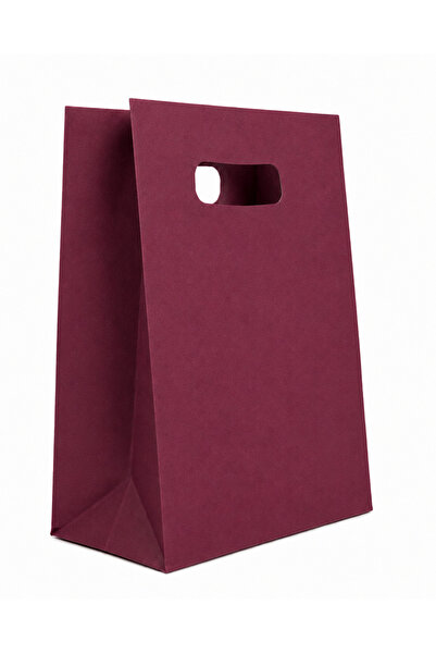 EWs Pungă cadou din hârtie 18 x 9 x 25 cm, bordo, set 10 bucăți