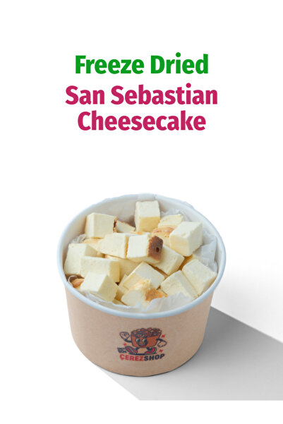 ÇITLAT ÇEREZ SHOP Freeze Dried San Sebastian Cheesecake – Kurutulmuş Çıtır Ch...