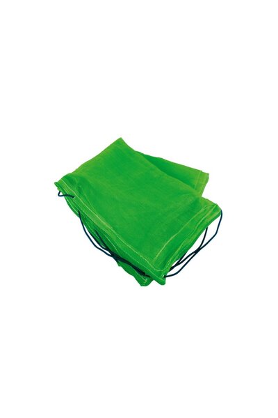 Carpoint Plasa pentru trailer si remorca , 160x250cm, cu ochi plasa mic