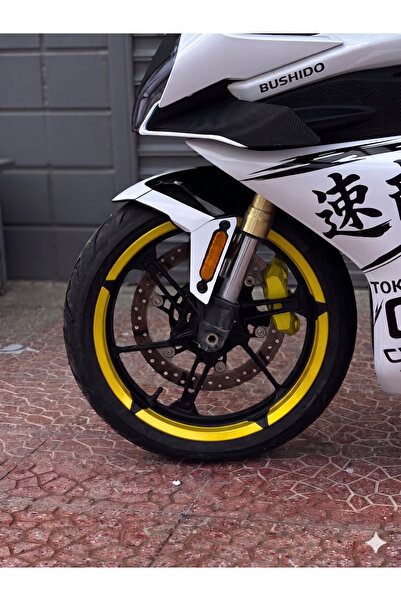 Banxtre 17 Inch Compatible Taycan Model Wheel Sticker for Motorcycle Rim
