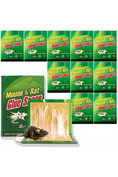 PrzydaSie Set de 10 capcane pentru șoareci și rozătoare, 31x21cm, PrzydaSie, ...