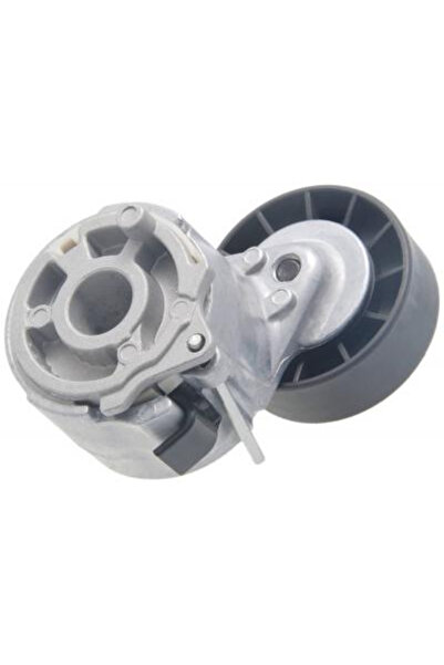 FEBEST Intinzator curea, curea distributie 2590-RELIII