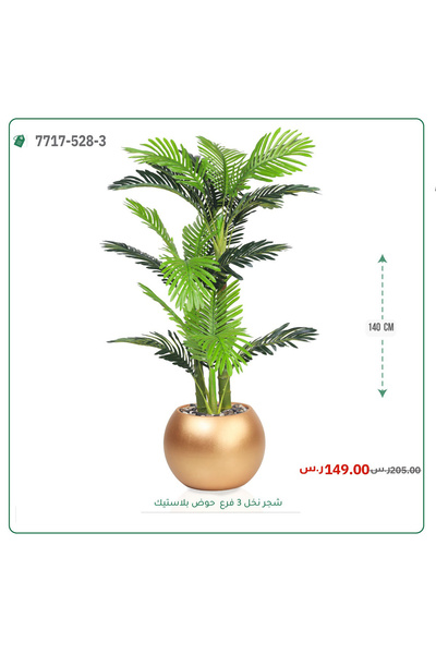 OEMS نخل أريكا صغير بحوض بلاستيك دائرى { 3 فروع }