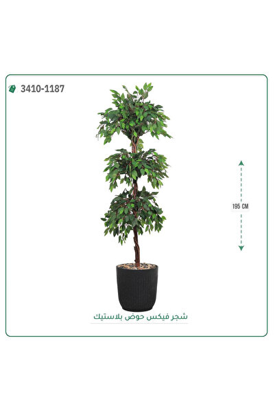 OEMS شجر فيكس صناعية حوض بلاستك { ارتفاع 195 سم }
