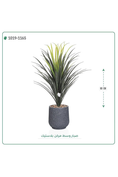 OEMS Artificial Cactus Tree with Plastic Pot { 80 cm Height }