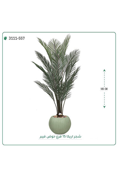 OEMS شجرة أريكا صناعية حوض فيبر { ارتفاع 185 سم }