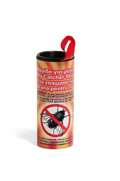 OEM Capcane pentru Muste - 4buc