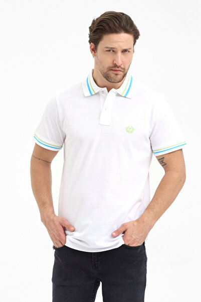 PAOROSS Men's Classic Cut Multi-Colored Polo Collar T-Shirt