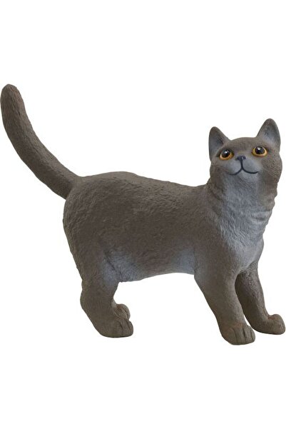 SCHLEICH Ζώα: Γάτα British Shorthair (SCH13973)