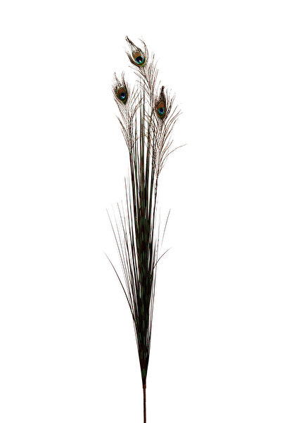 Paşabahçe Peacock 136 cm, Dekoratif Yapay Buket, Şık Tasarım, Salon ve Ofis İ...