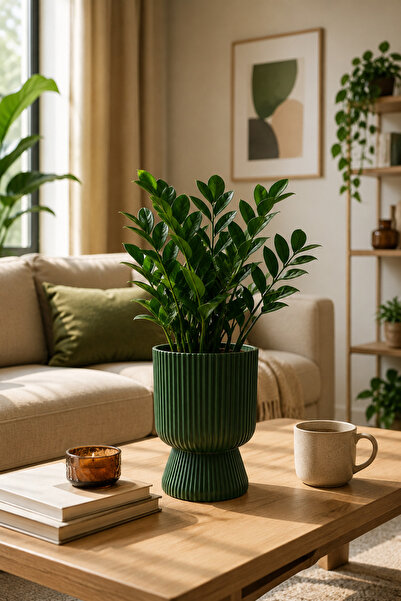 KıtayGroup Lotus Vazo Ayaklı Dekoratif İç Ve Dış Mekan Saksı 5 LT