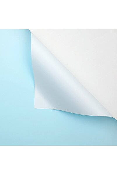 OEM Bicolor Plastic Cellophane Blue 58x58 cm