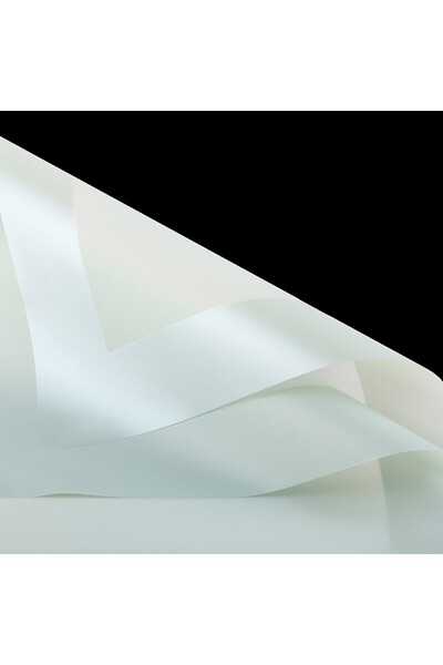 OEM Celofan pentru Flori Plastic Verde Pastel 58x58 cm