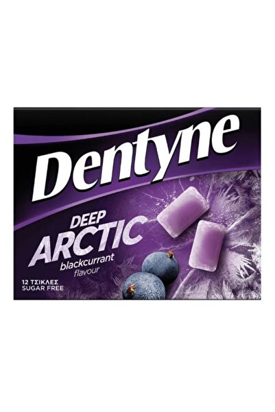Dentyne Τσίχλα Βαθύς Αρκτικής με γεύση μαύρης σταφίδας 16,8γρ (T10013960)