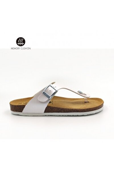 PLAKTON 181671 Champion Met Blanco