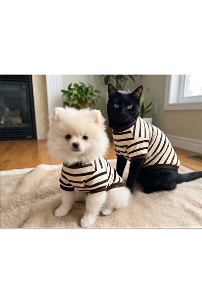 atelyu Cat Dog Outfit Striped Thin Sweatshirt