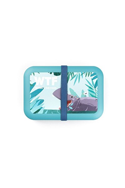 Amuse Cutie de pranz, Amuse, Plastic, 21 x 14 x 5 cm, Turcoaz