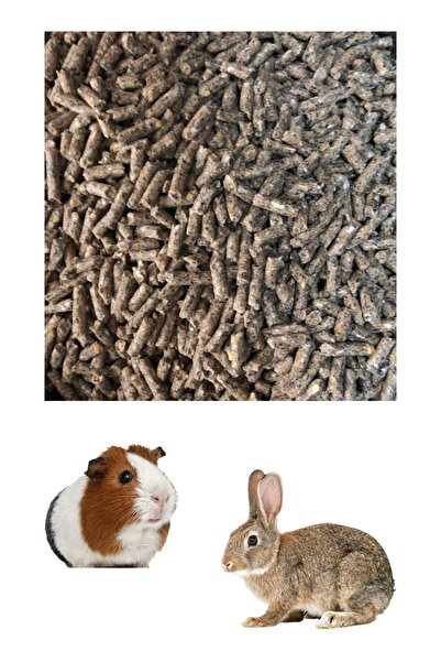 BFHOME Tavşan Pelet Yemi 500 gr (KEMİRGEN, GİNEPİG, HAMSTER) pelet yem