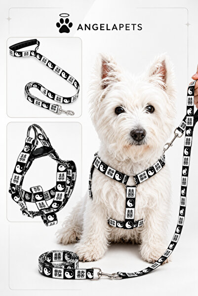 Angelapets Dog Chest Harness and Walking Strap Set