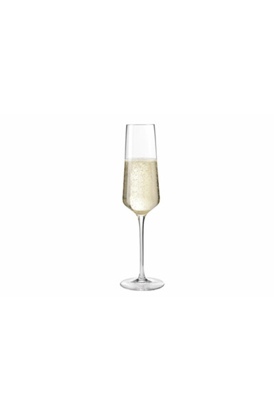 Mendola Pro Pahar Sampanie PUCCINI 280 ml, Nobila Casa, (Dxh) 4,5x26 cm, Stic...