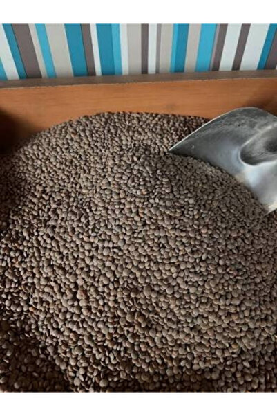 Efulim Tatlar Siyah Mercimek 1000 gr