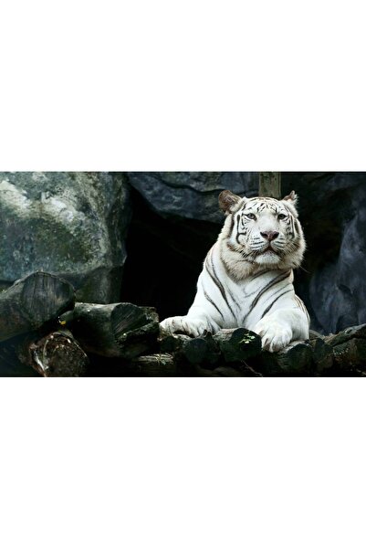 Persona Tablou canvas 100 x 70 cm, Animale model 395