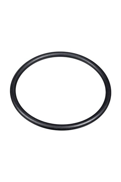 FEBI BILSTEIN Inel Etansare (100mmx113mmx6,5mm Bnr