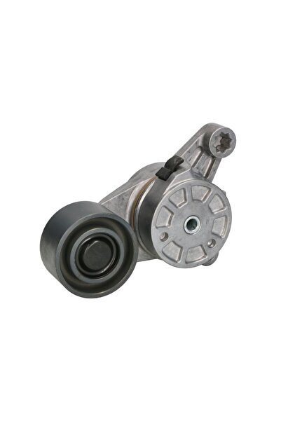 FEBI BILSTEIN Intinzator,curea accesorii Volvo 9700 9900 B13 Fh Fh Ii Fh Iii ...