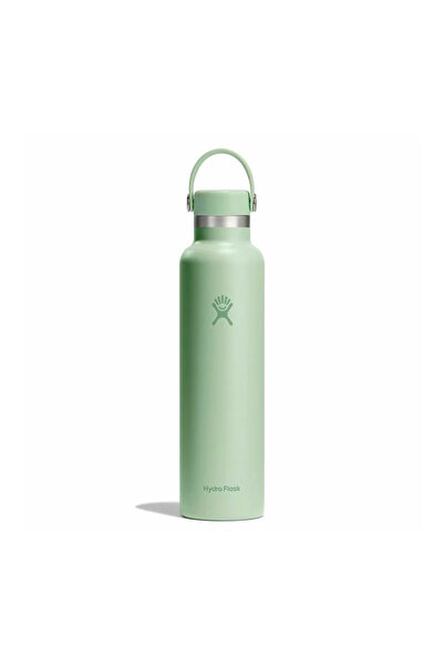Hydro Flask 21 ουγγιές (621 ml) ΣΤΑΝΤΑΡΤ ΕΥΚΑΜΠΤΟ ΚΑΠΑΚΙ ΑΛΟΗ S21CSX338-ALOE ...