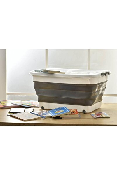 ASTERA Foldable Transparent Lid Organizer Box with Wheels, 30 Liters