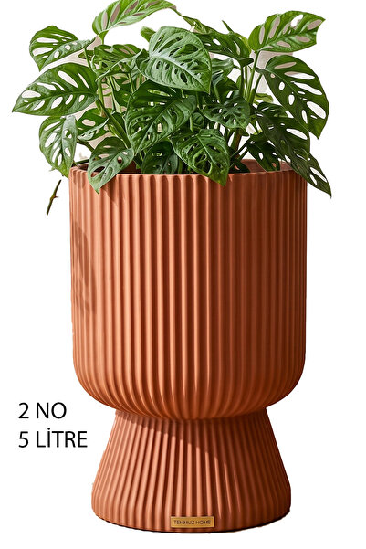 TEMMUZ HOME 1 Adet 5 Litre Büyük Boy Çizgili Ayaklı Saksı - Lotus 2 No (Delik...
