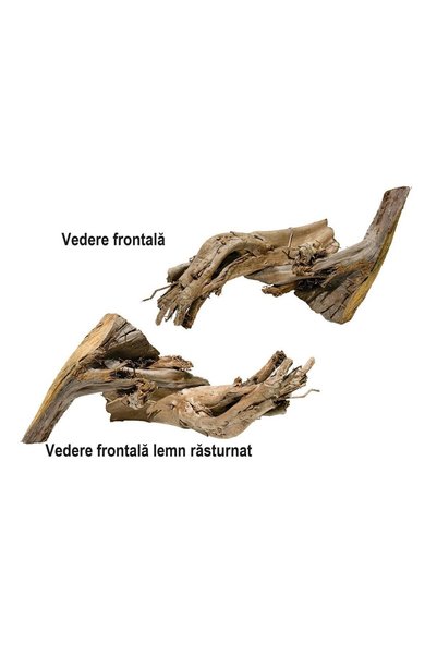 Ocean Free XXL21 Decor acvariu Drift Wood LARGE