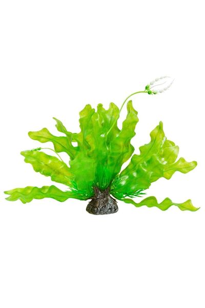 Classica Flori ornamentale plastic plante acvariu Aponogeton verde 24 cm