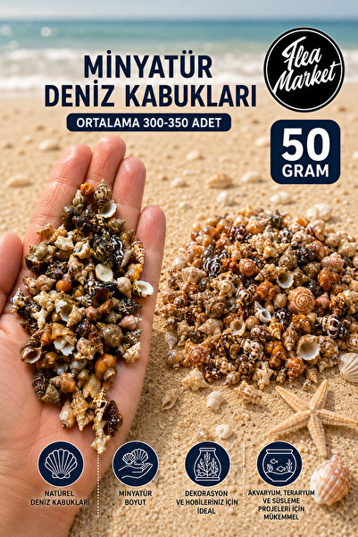 Artdeco Özel Karışım Gerçek Doğal Deniz Kabukları Seti ( 300-350 Adet, 50 Gr ...