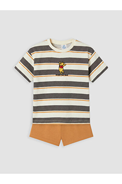 LC Waikiki Timeless Clothing & Timeless Choices Winnie the Pooh Embroidered B...