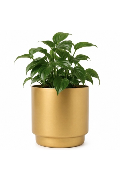 PUFO Ghiveci decorativ din metal pentru grădină, Ø 13,5 cm, auriu