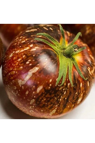 Dark Galaxy Domates Tohumu (15 tohum)