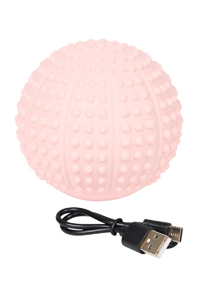 Evendi Accesoriu, Roz