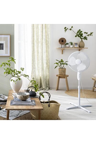 Hausberg Ventilator cu Picior Premium- 50W - Rotativ de Camera, Birou - 3 Vit...