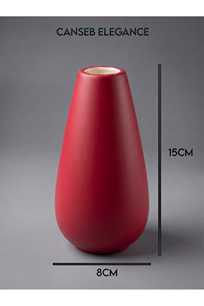 CANSEB Elegance Modern Vase - Hand-Painted Craftsmanship - Premium - (Measure...