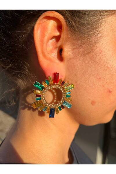 Wual giyim Multi-Colored Stone Detailed Earrings
