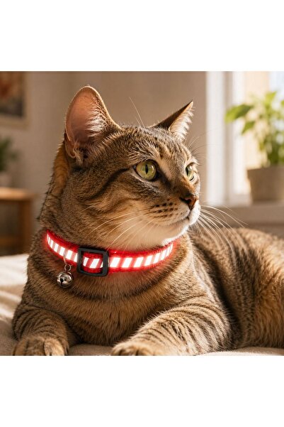 Zâna Casei Red Reflective Collar with Bell for Cats 30cm