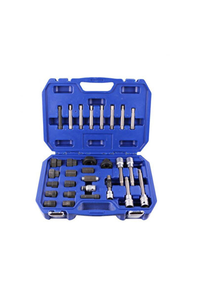 CLAS ALTERNATOR PULLEY REMOVAL KIT (30 PIECES)