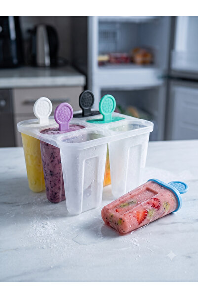 Euro Pink Practical 6-Piece Homemade Ice Cream and Fruit Mold - Colorful Stic...